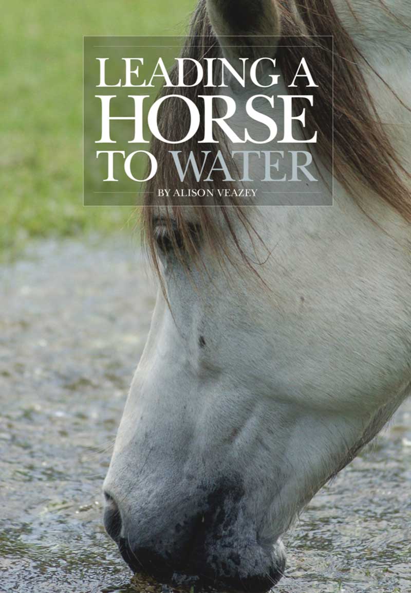 lead a horse book cover